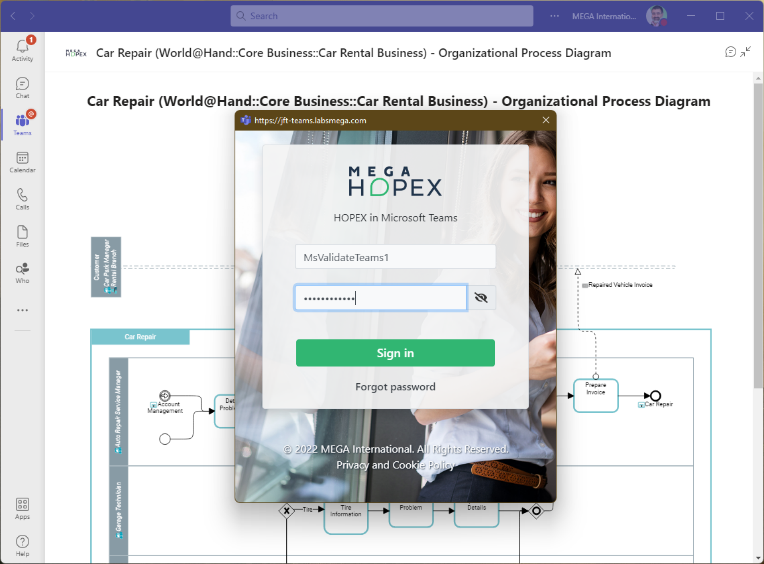 HOPEX login page over MS Teams